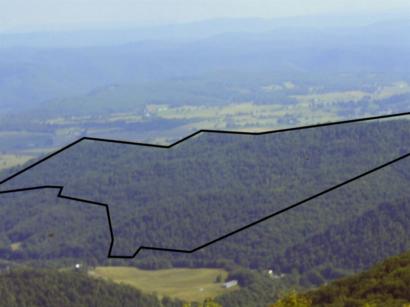 Location of boundary of this wooded mountain development