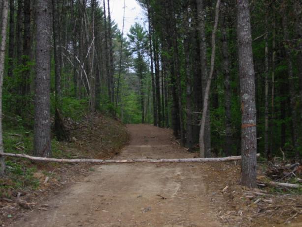 Shaded trail makes for cool walks