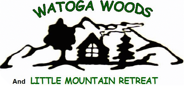 Little Mountain Retreat, Mill Point WV -Wooded mountain lots with great views.